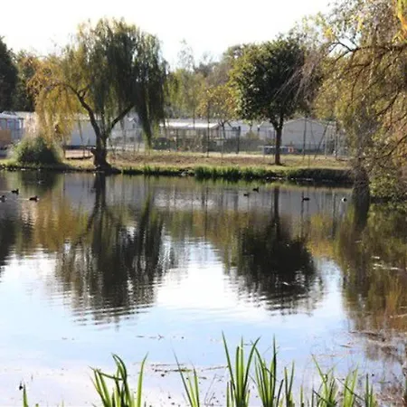 Mobil Avec Terrasse Pour 4 Personnes - Api-1-52-656