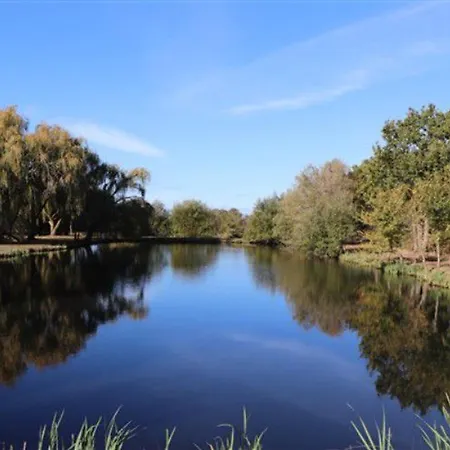 Mobil Avec Terrasse Pour 4 Personnes - Api-1-52-656 Campeggio